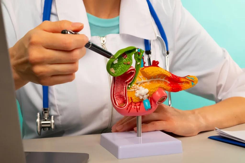 doctor showing a patient a life-sized plastic model of the human pancreas to illustrate the risks of Semaglutide and Tirzepatide for Weight Loss